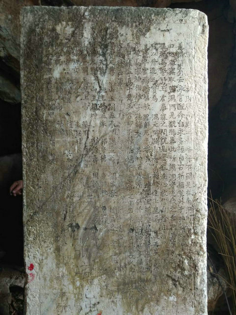 24380274.jpg