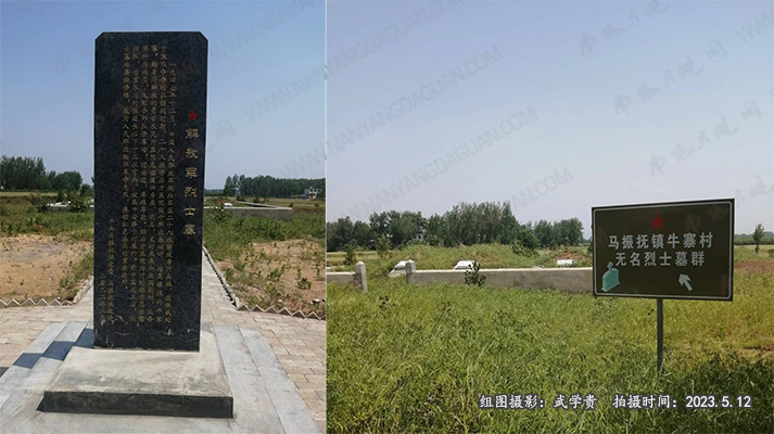墓群.jpg