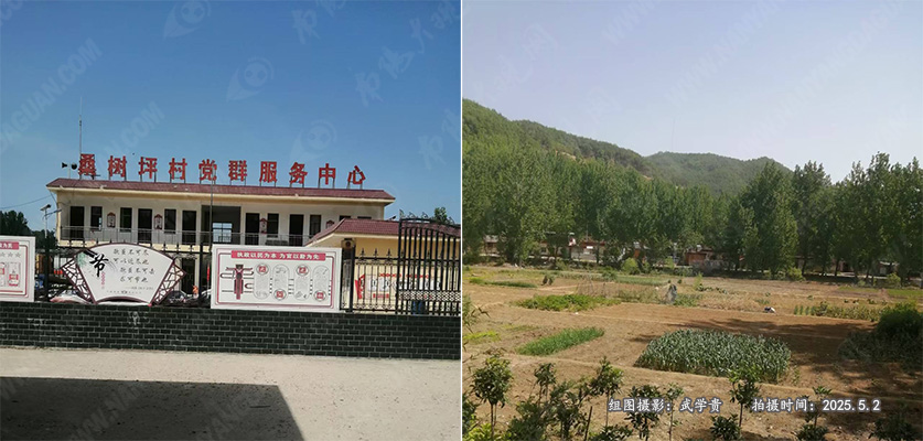 桑树坪.jpg