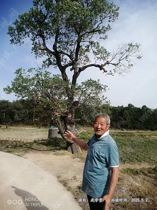 石人沟2.jpg