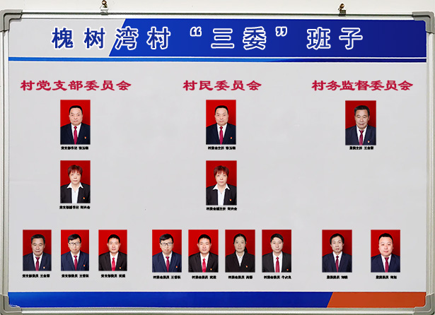 槐树湾三委班子.jpg